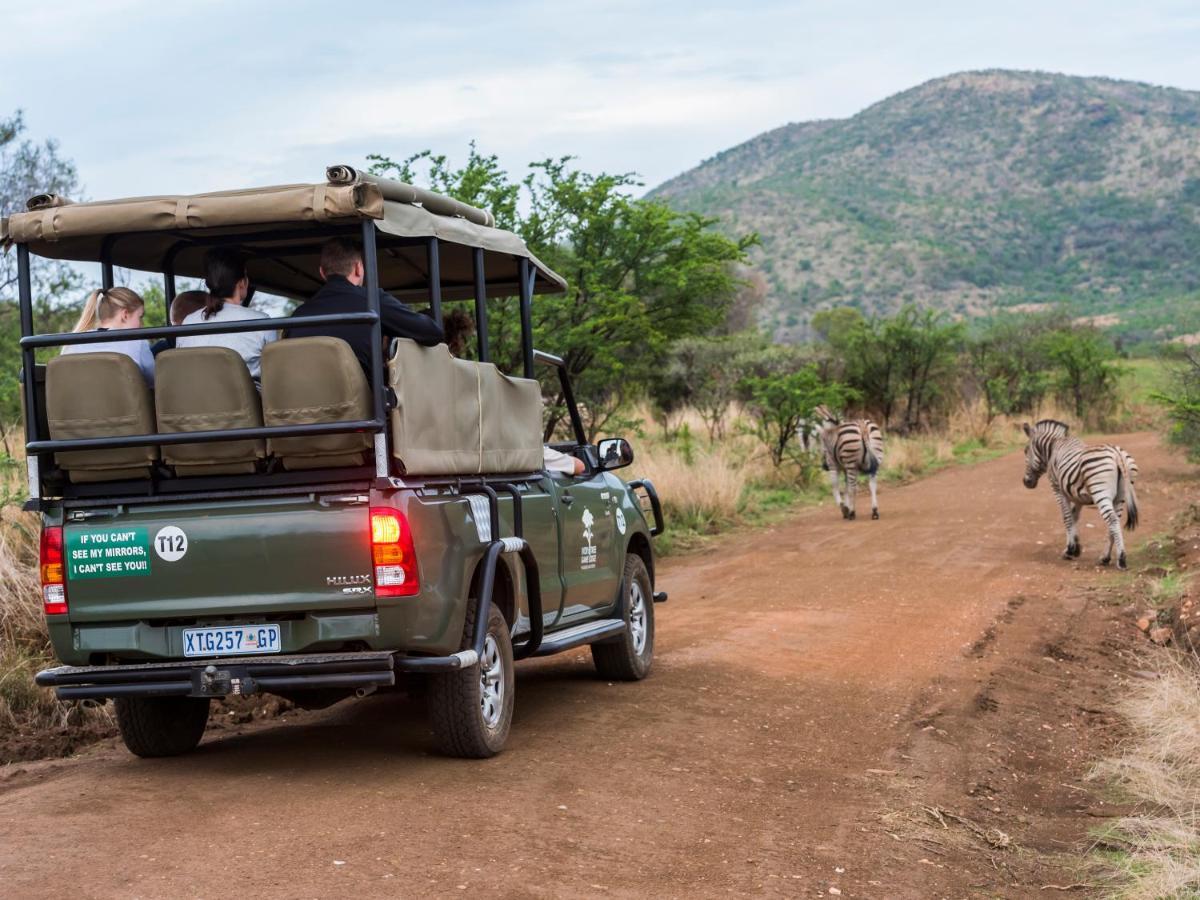 Ivory Tree Game Lodge Pilanesberg Zewnętrze zdjęcie